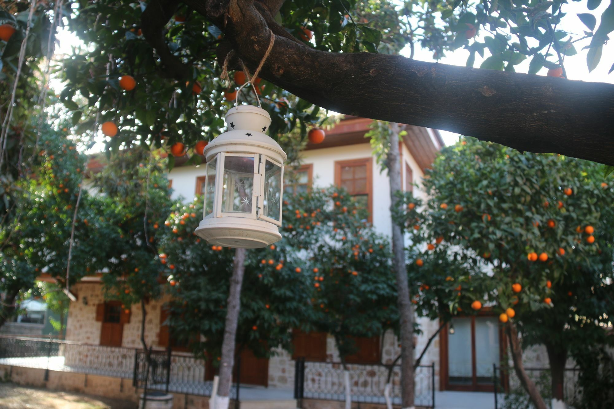 Citrus Garden Hotel Анталья Экстерьер фото